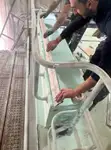 Imbarcazioni da lavoro in vendita
