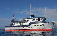 Rimorchiatore in vendita