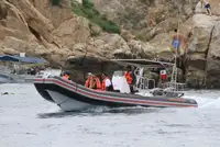 Gommone rigido in vendita