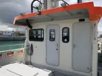 Catamarano in vendita