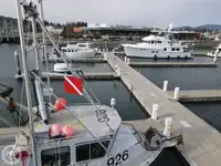 Scialuppa di salvataggio in vendita