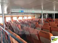 Nave da crociera in vendita