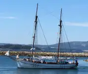 Nave traghetto in vendita