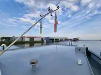 Trasportatore di merci sfuse in vendita