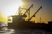 Imbarcazioni da lavoro in vendita