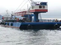 Chiatta in vendita