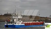 Trasportatore di merci sfuse in vendita
