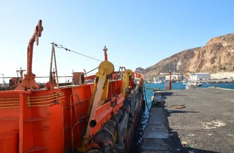 Portacontainer in vendita