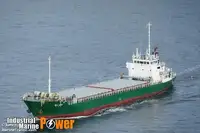 Trasportatore di merci sfuse in vendita