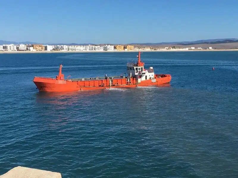 Portacontainer in vendita