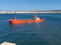 Portacontainer in vendita