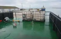 Chiatta in vendita