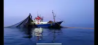 Trawler in vendita
