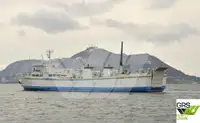 Ro-Ro ship in vendita