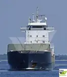Trasportatore di merci sfuse in vendita