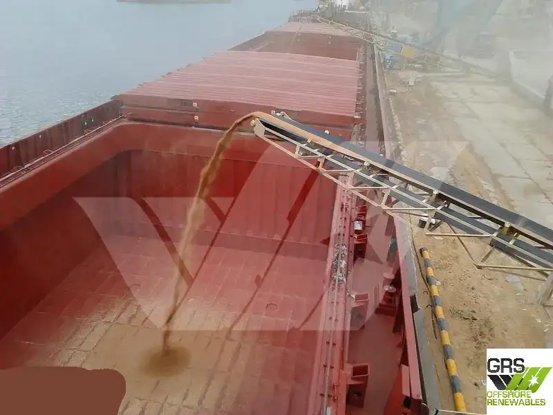 Trasportatore di merci sfuse in vendita