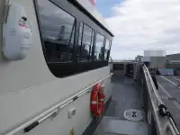 Catamarano in vendita