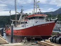 Rottami metallici in vendita