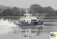 Nave di servizio per parchi eolici in vendita