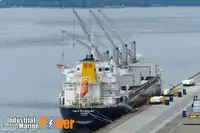 Trasportatore di merci sfuse in vendita