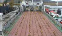 Portarinfuse in vendita