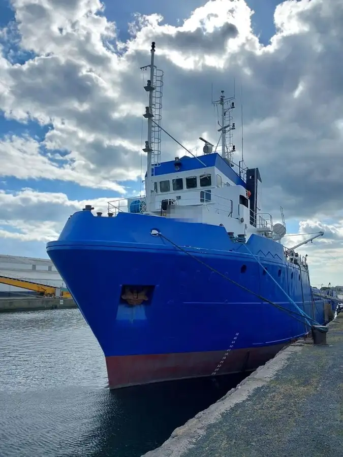 Portacontainer in vendita