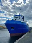Portacontainer in vendita