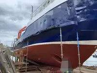 Barche da lavoro in vendita