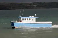 Catamarano in vendita