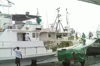 Longliner in vendita