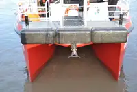 Catamarano in vendita