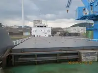 Trasportatore di merci sfuse in vendita