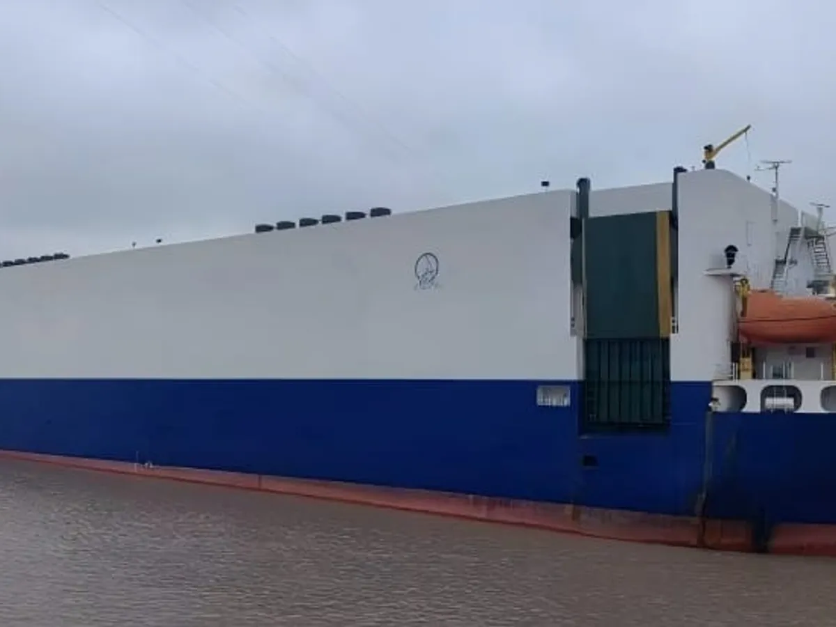 Nave Ro-Ro in vendita