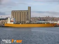 Ro-Ro ship in vendita