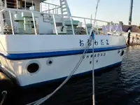 Nave da crociera in vendita