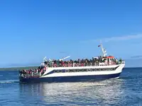 Nave passeggeri in vendita