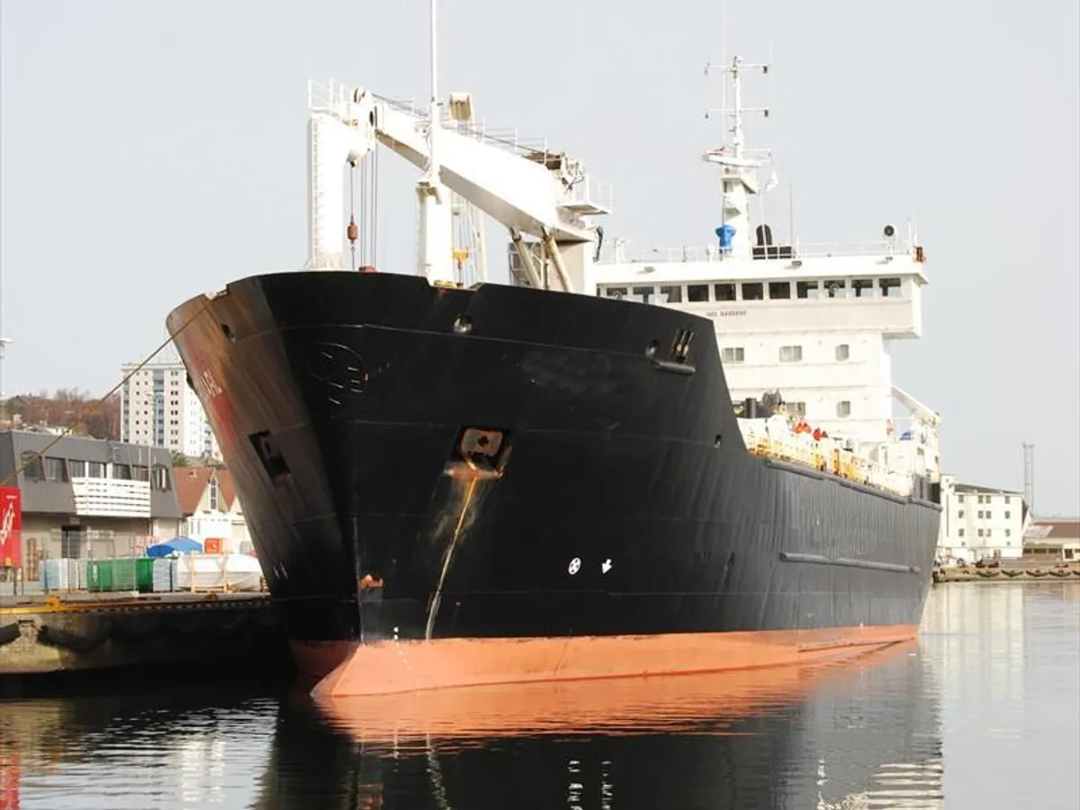 Nave refrigerata in vendita