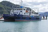 Nave da crociera in vendita