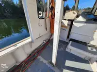 Nave per la lavorazione del pesce in vendita