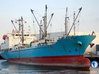 Nave refrigerata in vendita