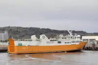 Nave Ro-Ro in vendita
