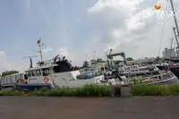 Pattugliatore in vendita