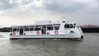 Catamarano in vendita