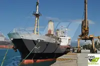 Trasportatore di merci sfuse in vendita