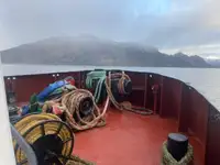 Rimorchiatore in vendita