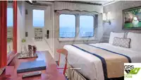 Nave da crociera in vendita