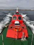 Piroga di pilotaggio in vendita