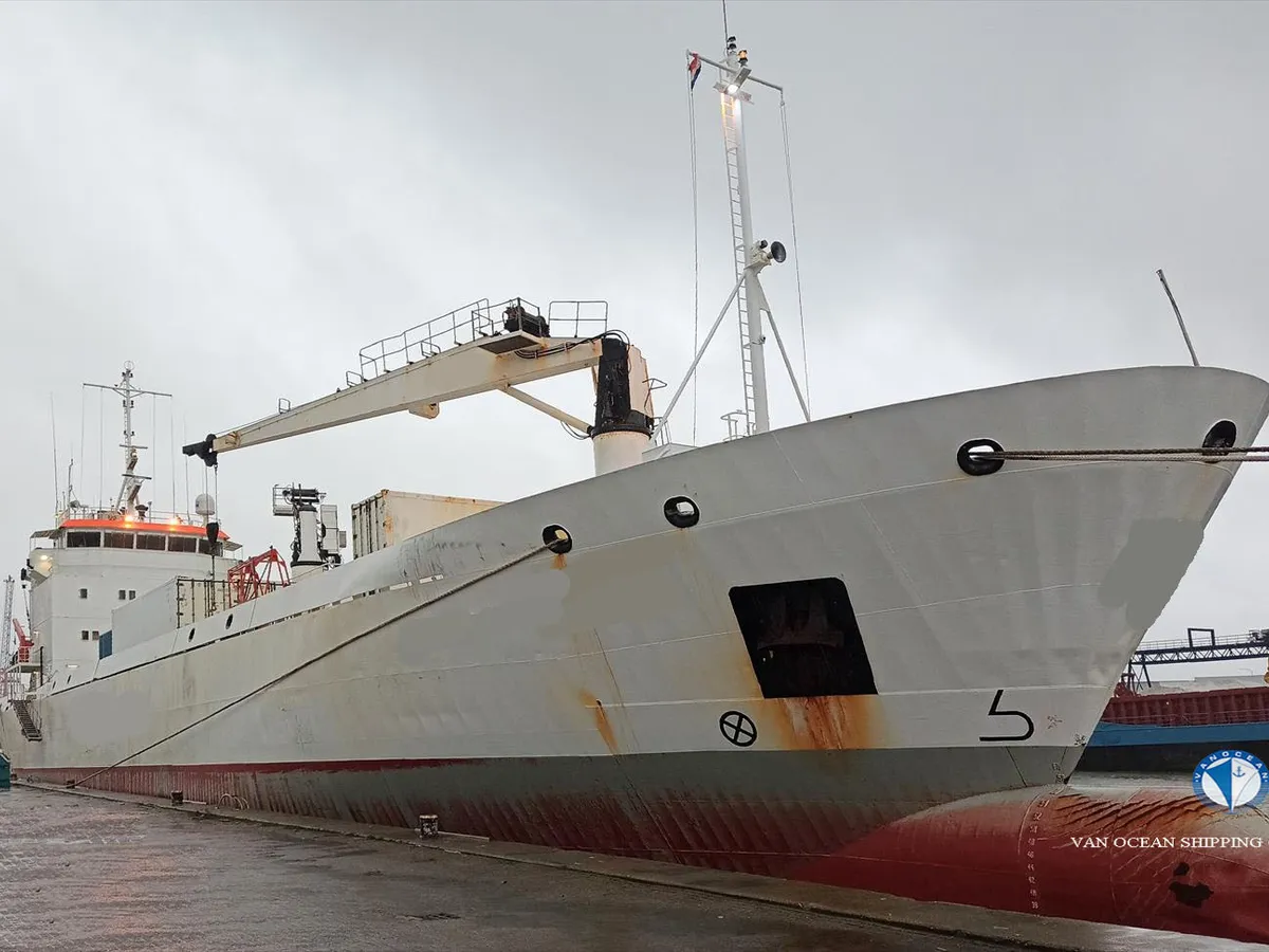 Nave refrigerata in vendita