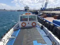Barche da lavoro in vendita