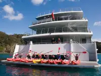 Catamarano in vendita